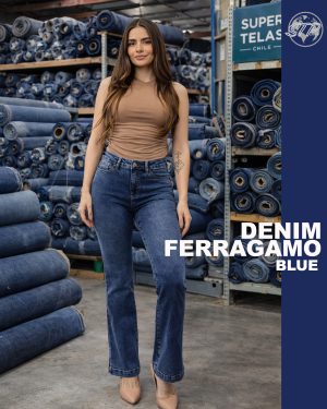DENIM FERRAGAMO BLUE
